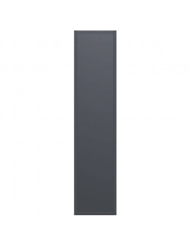 Rastrelliera per Legna da Ardere Antracite 50x23x100 cm