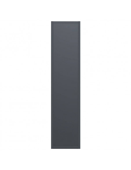 Rastrelliera per Legna da Ardere Antracite 50x23x100 cm