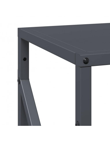 Rastrelliera per Legna da Ardere Antracite 34x25x100 cm