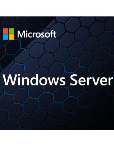 WINDOWS SERVER CAL 2025IT 1U CAL