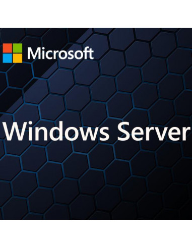 WINDOWS SERVER CAL 2025 IT 5DEV CAL