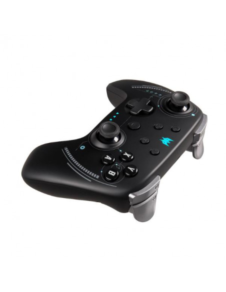 PGR300
