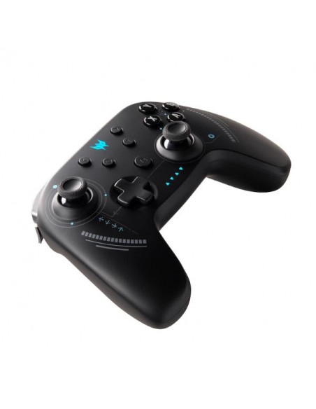 PGR300