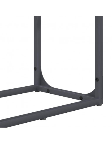 Rastrelliera per Legna da Ardere Antracite 60x25x100 cm