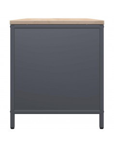 Rastrelliera Legna da Ardere con Piano Antracite 100x40x60 cm 2