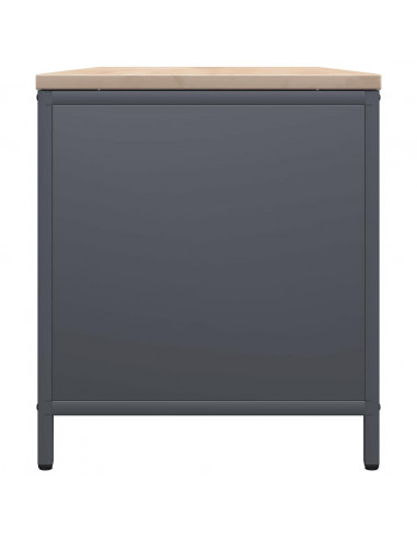 Rastrelliera Legna da Ardere con Piano Antracite 100x40x60 cm