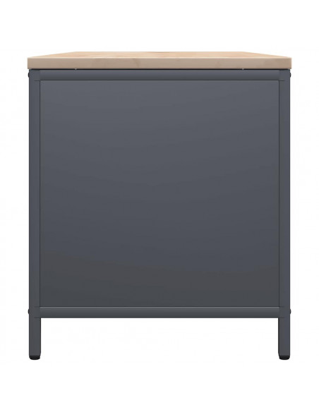 Rastrelliera Legna da Ardere con Piano Antracite 100x40x60 cm