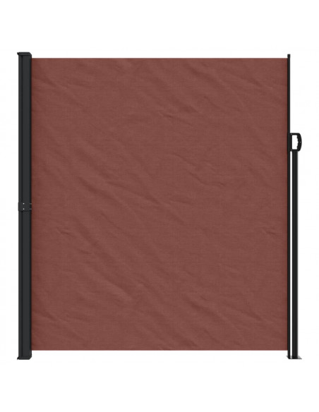 Tenda da Sole Laterale Retrattile Marrone 220x300 cm