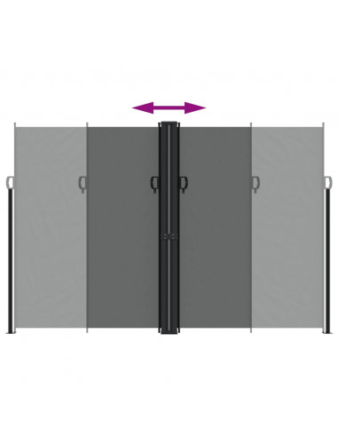 Tenda da Sole Laterale Retrattile Antracite 220x600 cm
