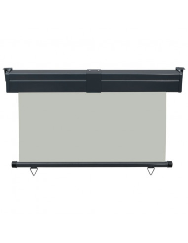 Tendalino Laterale per Balcone 125x250 cm Grigio