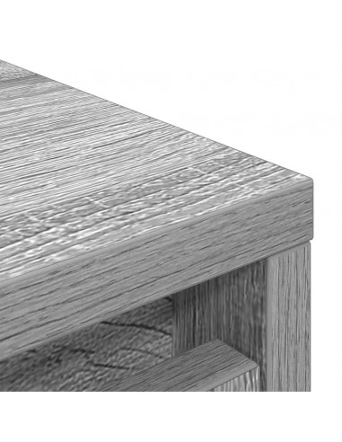 Scarpiera Grigio Sonoma 57x34x76 cm in Legno Multistrato