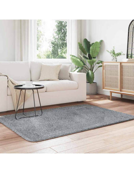 Tappeto Shaggy a Pelo Lungo NAVARRA Grigio Argento 120x170cm