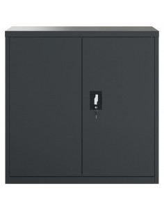 Armadio Classificatore Antracite 90x40x90 cm in Acciaio 2