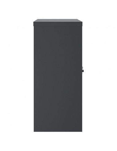 Armadio Classificatore Antracite 90x40x90 cm in Acciaio