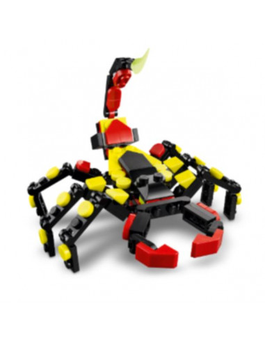 ANIM. SELVATICI RAGNO: TRASFORMISTA