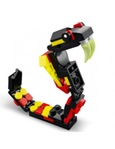 ANIM. SELVATICI RAGNO: TRASFORMISTA