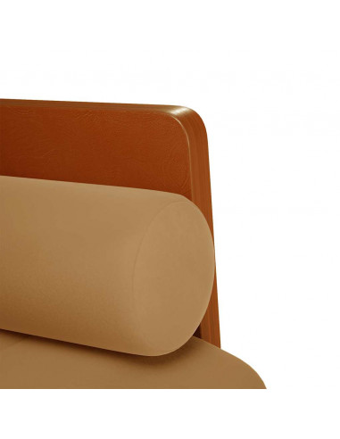 Divano Divanetto con Cuscini Bolster Marrone 110 cm Velluto