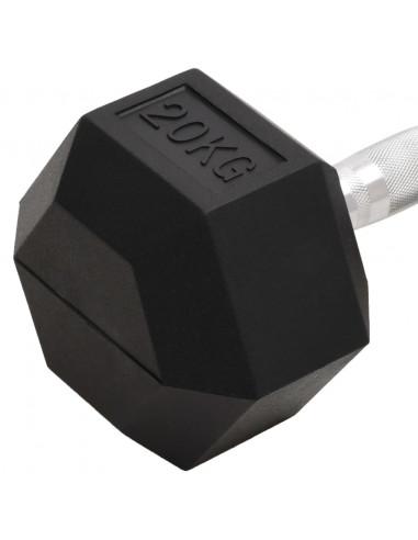 Manubrio 20 kg Ghisa