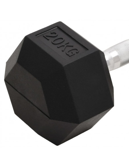 Manubrio 20 kg Ghisa