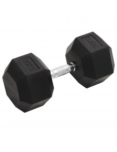 Manubrio 30 kg Ghisa 2