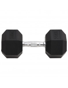 Manubrio 20 kg Ghisa 2