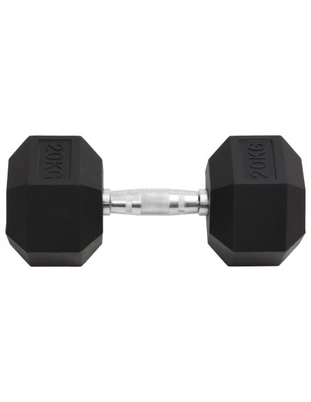 Manubrio 20 kg Ghisa