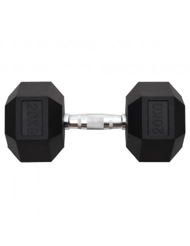 Manubrio 20 kg Ghisa