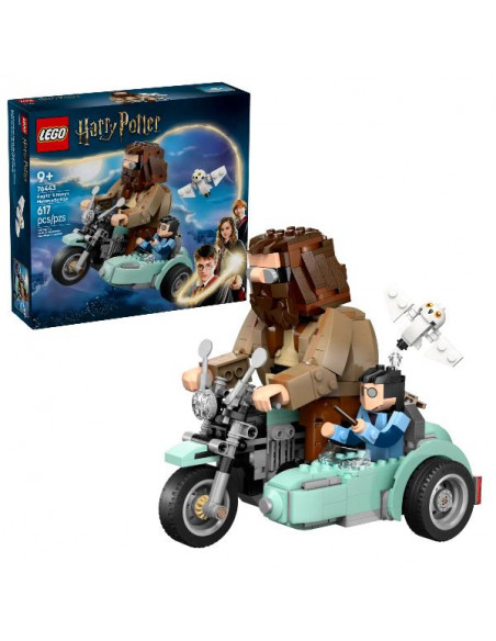 GIRO SUL SIDECAR DI HAGRID  E HARRY