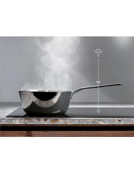 CAPPA INC EFG516X 54CM 210W INOX
