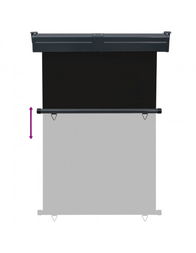 Tendalino Laterale per Balcone 125x250 cm Nero