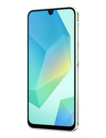 Samsung Galaxy A16 17 cm (6.7") Dual SIM ibrida 4G USB tipo-C 4 GB 128 GB 5000 mAh Verde