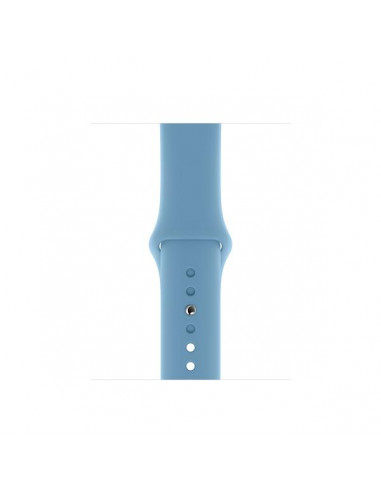 Apple MV692ZM/A accessorio per smartwatch Band Blu Fluoroelastomero