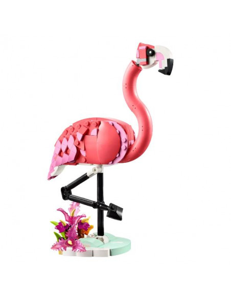 ANIMALI SELVATICI: FENICOTTERO ROSA