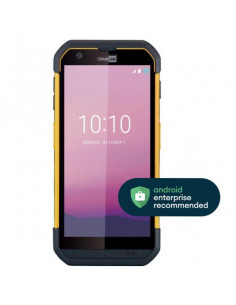 RS36 2D SE4770 WIFI/BTLE/NFC 4/64GB