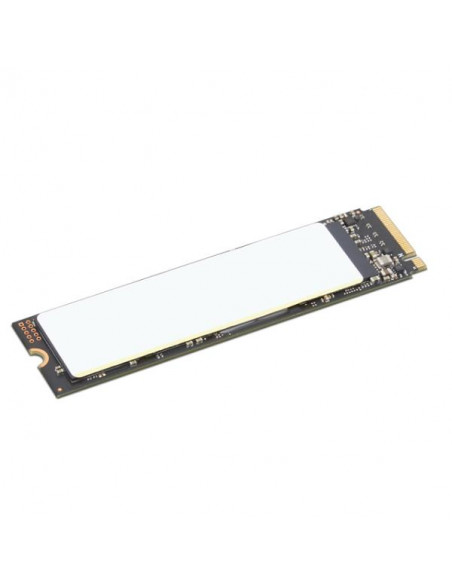 TP 512GB SSD PERFORM PCIE G4