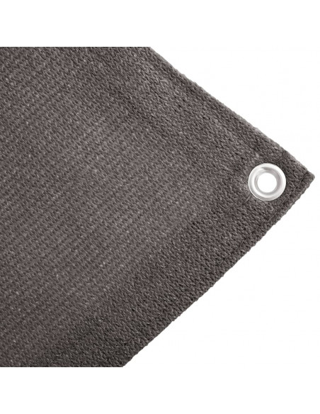 Tappeto da Tenda 250x450 cm Antracite