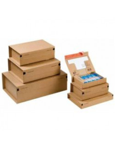 CF10PACCHI CARTONE MM460X310X160