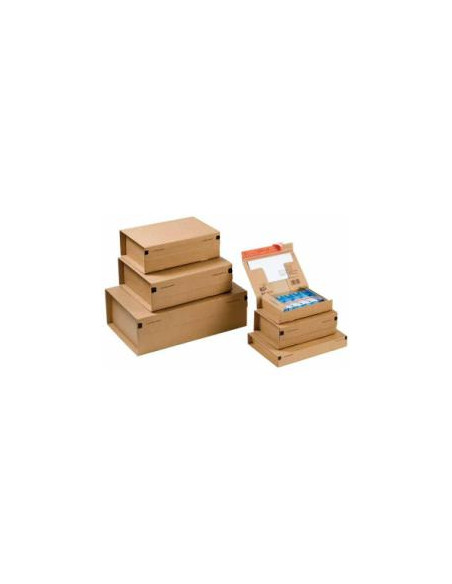 CF10PACCHI CARTONE MM460X310X160