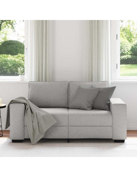 Divano a 2 Posti Grigio Nuvola 160x77x82 cm in Tessuto