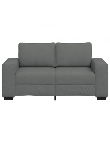 Divano a 2 Posti Grigio Scuro 120 cm in Tessuto