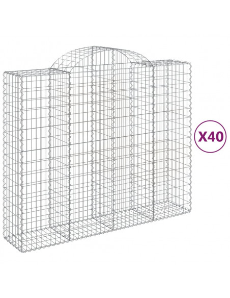 Cesti Gabbioni ad Arco 40 pz 200x50x160/180 cm Ferro Zincato