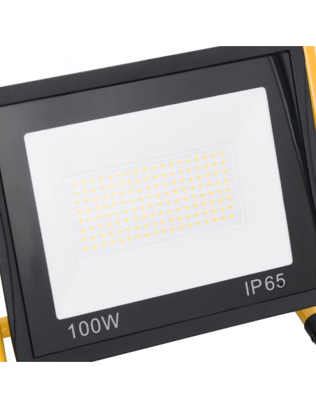 Faretto a LED con Maniglia 100 W Bianco Freddo