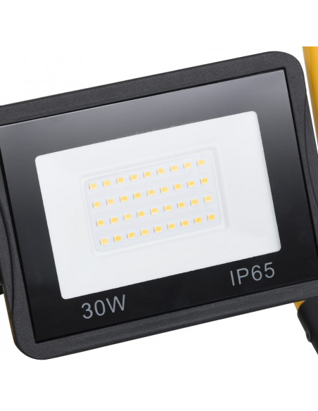 Faretto a LED con Maniglia 30 W Bianco Freddo
