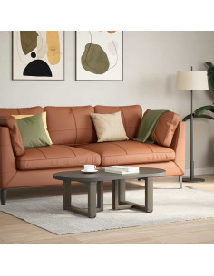 Gambe Tavolino Caffè a T 2 pz Naturale 40x25x(30-31) cm Acciaio 2