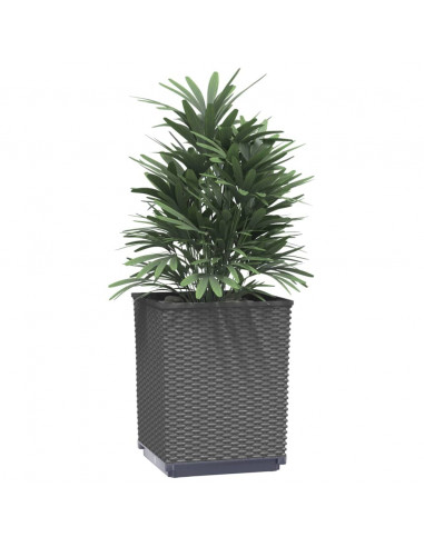 Fioriere 4 pz Nere 30x30x37 cm in Polipropilene