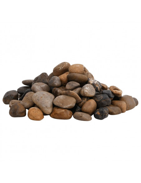 Ciottoli Levigati 25 kg Colore Misto 2-5 cm