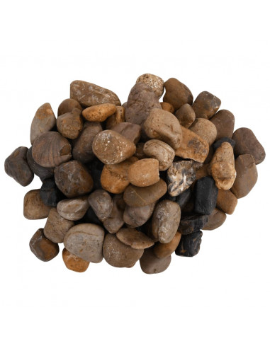 Ciottoli Levigati 25 kg Colore Misto 2-5 cm