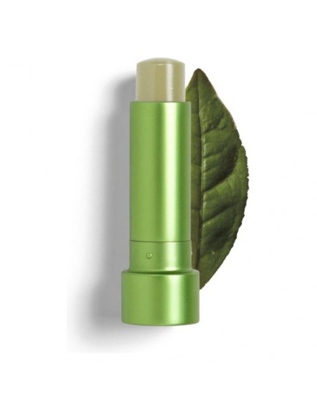 Matcha Tea Lip Balm 4 Gr Teaology