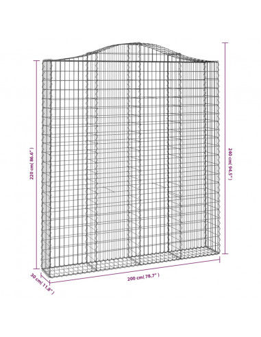 Cesti Gabbioni ad Arco 2 pz 200x30x220/240 cm Ferro Zincato