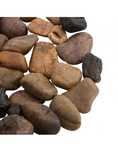 Ciottoli Levigati 25 kg Colore Misto 2-5 cm